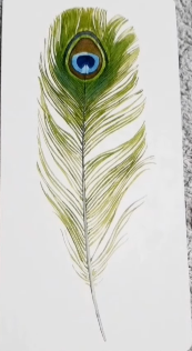 Divine Feather Messenger